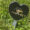 Heart Mirror