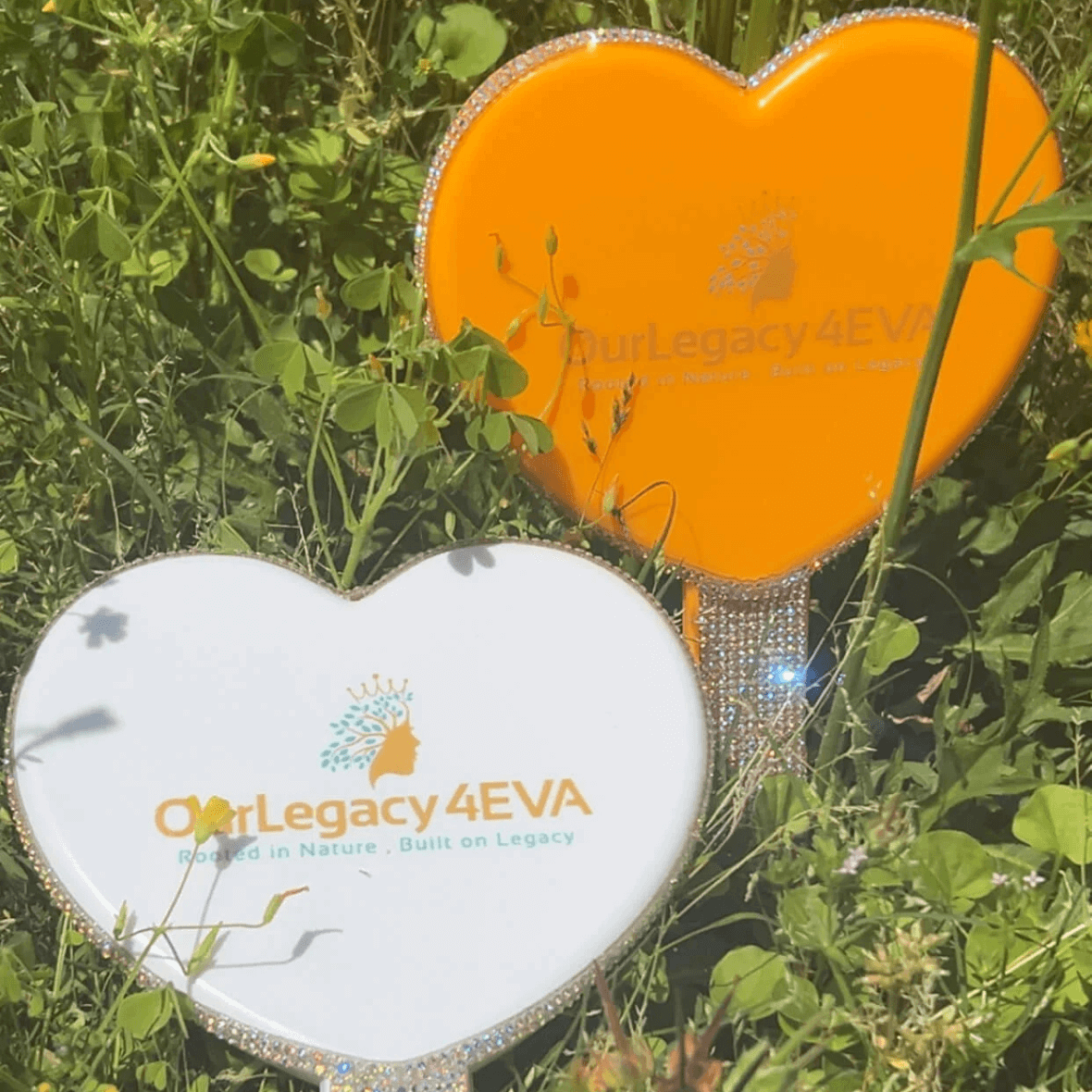 Mirror & Manifest (Bundle)