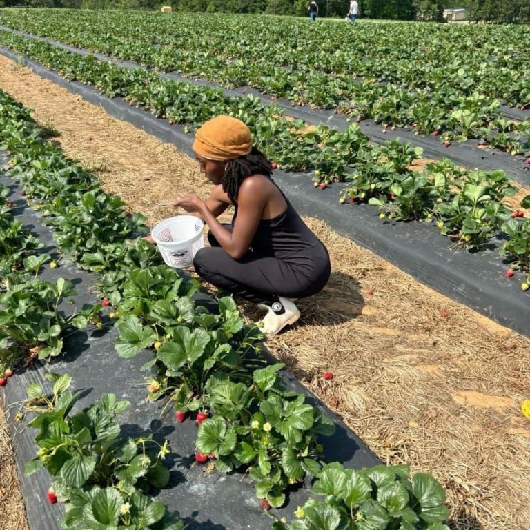 25636B4E-2B16-4C62-B80D-B9946622A639